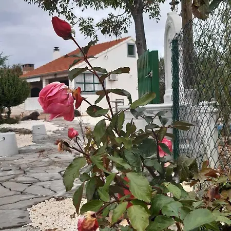 Mystic Woods Villa *