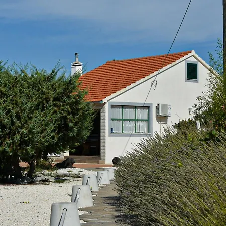 Mystic Woods * Bristane