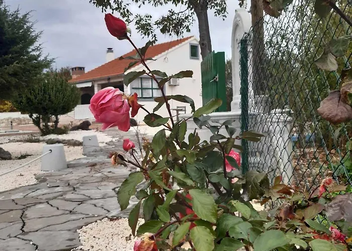 Mystic Woods וילה *