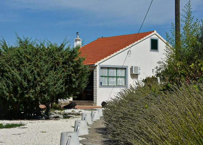 Mystic Woods * Bristane